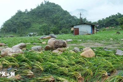 Thời tiết ngày 16/7: Mưa to tại nhiều khu vực, cảnh báo sạt lở ở vùng núi Bắc Bộ