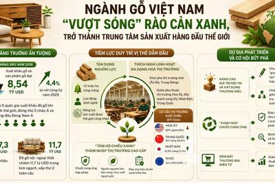 Gỗ Việt 'vượt sóng' rào cản xanh, trở thành trung tâm sản xuất hàng đầu thế giới