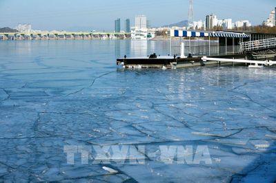 Kiến tạo đô thị ven sông - Bài 2: Bài học từ tư duy phát triển sông Hàn