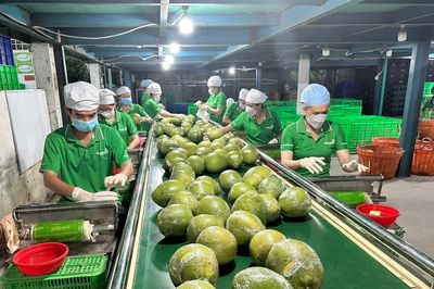 TP Hồ Chí Minh tiếp sức nông sản Việt chinh phục thị trường toàn cầu