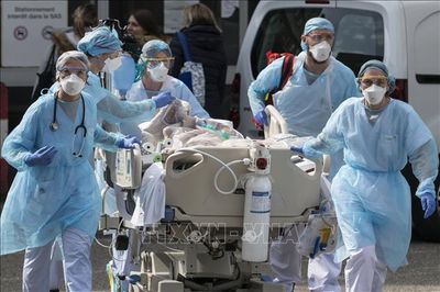 WHO hối thúc châu Âu đẩy nhanh xây dựng khung quản lý AI về y tế