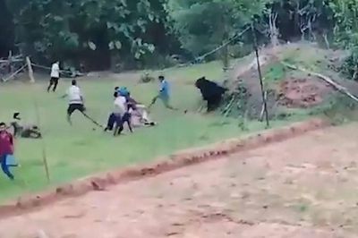 Vừa được cứu khỏi giếng, gấu dữ lao tới tấn công dân làng