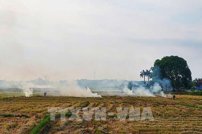 Thành phố Huế tăng cường kiểm soát tình trạng đốt rơm rạ
