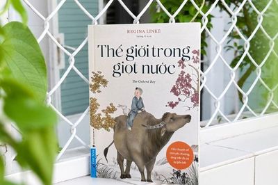 'Thế giới trong giọt nước' - Triết lý ẩn sau giọt nước nhỏ bé