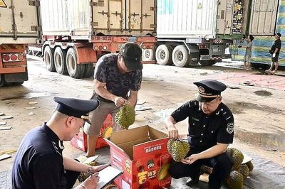 Kịp thời hỗ trợ, tạo thuận lợi cho hàng nông sản xuất khẩu