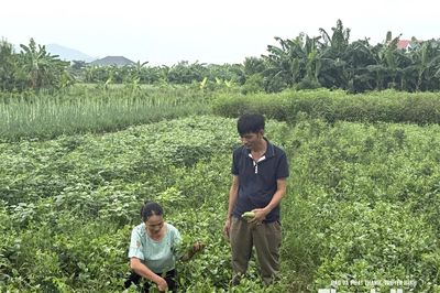Tổ trưởng tổ dân phố tận tâm vì sự phát triển của khu dân cư