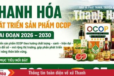 Thanh Hóa đặt mục tiêu phát triển 328 sản phẩm OCOP giai đoạn 2026-2030