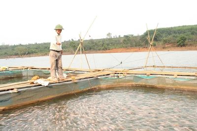 20 hộ dân xã Kon Gang được tập huấn nuôi cá điêu hồng trong lồng bè