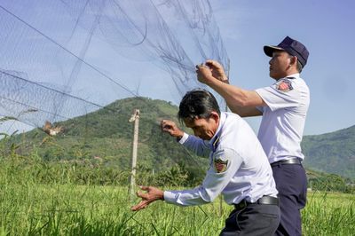 Tìm hướng đi cho ngành yến