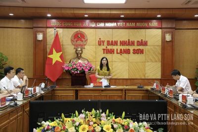 UBND tỉnh họp chuyên đề xem xét một số nội dung liên quan đến lĩnh vực y tế