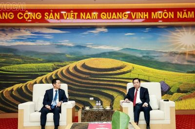 Bí thư Tỉnh ủy Dương Quốc Huy tiếp và làm việc với Hiệp hội doanh nghiệp Hàn Quốc tại Việt Nam