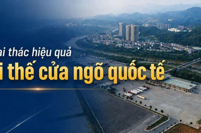 Khai thác hiệu quả lợi thế cửa ngõ quốc tế