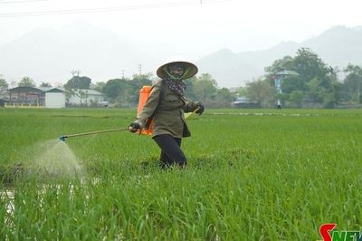 Giảm phát thải khí nhà kính trong sản xuất nông nghiệp