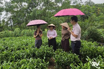 Biến nguồn vốn chính sách thành sinh kế lâu dài
