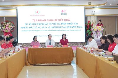 Gần 97.000 lượt người hưởng lợi từ dự án phục hồi sau bão, lũ