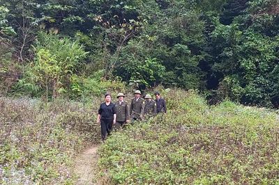 An toàn khi làm việc trong rừng