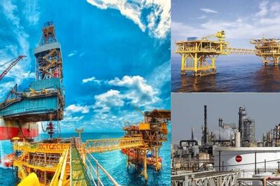 Lực đẩy đưa Cá Voi Xanh trở lại đường đua