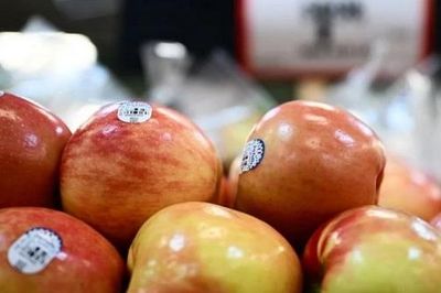 Mỹ là nhà cung cấp trái cây tươi lớn thứ hai của Việt Nam