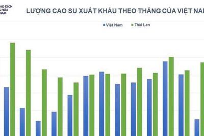 Thị trường hàng hóa nguyên liệu khởi sắc