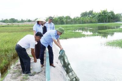 Xã Ứng Hòa thử nghiệm thành công mô hình nuôi cua Cà Ra xuất khẩu