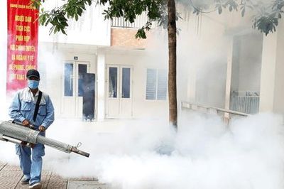 Bệnh sốt xuất huyết thay đổi quy luật: Chủ động dự phòng để kiểm soát hiệu quả