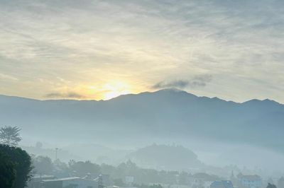 Về với đại ngàn