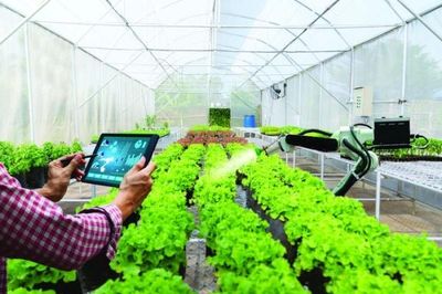 'Tấm hộ chiếu xanh' cho nông sản Việt