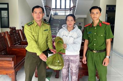 Người dân An Giang chủ động giao nộp động vật hoang dã