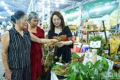 Đà Nẵng lần đầu tổ chức Lễ hội Sâm Ngọc Linh và Dược liệu quốc tế