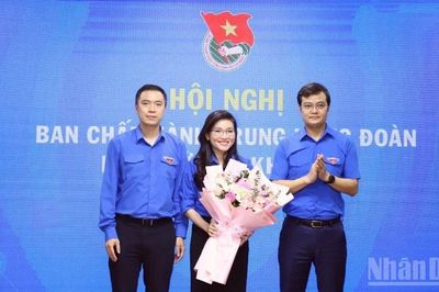 Thành lập Hội đồng Đội Trung ương khóa X, giai đoạn 2026-2031