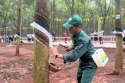 Cao-su Đồng Nai: Tôn vinh thợ giỏi, quyết tâm khai thác vượt mốc 32.000 tấn mủ