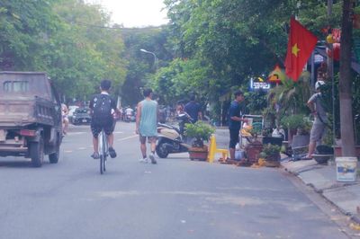 Làm vườn… giữa đường!