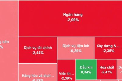 [VIDEO] VN-Index lao dốc gần 30 điểm, phiên giảm sâu nhất ba tháng