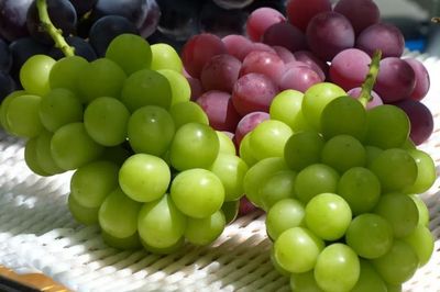 Nhật Bản khẩn cấp tăng cường 'lá chắn' pháp lý cho các giống cây quý vì một lý do