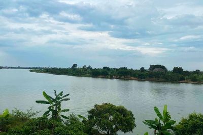 Vợ đau đớn phát hiện chồng ngoại tình nhờ một hộp sữa