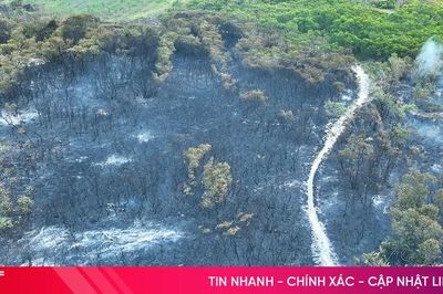Khống chế thành công vụ cháy vùng tràm ở xã Thạch Khê
