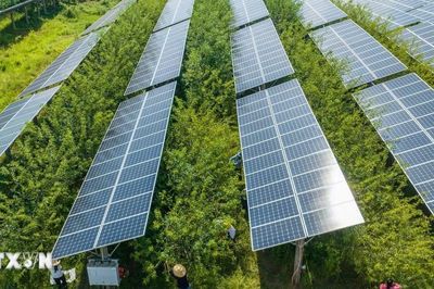 Trung Quốc áp thuế tiêu thụ với pin lithium-ion và tấm pin năng lượng mặt trời