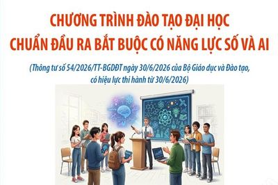 Chương trình đào tạo đại học: Chuẩn đầu ra bắt buộc có năng lực số và AI