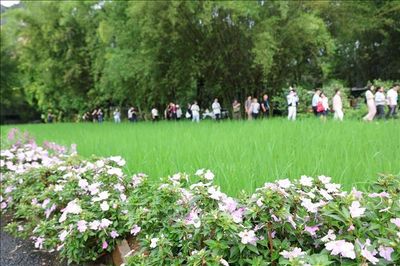 Trung Quốc điều động sinh viên tốt nghiệp cho công cuộc hiện đại hóa nông thôn