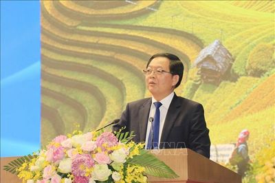 Lào Cai cần cụ thể hóa các cơ chế, chính sách đặc thù để thu hút đầu tư