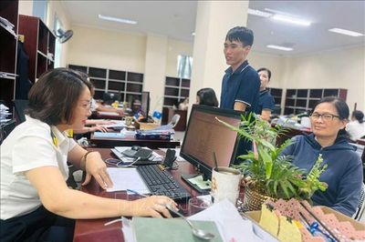 Xử lý doanh nghiệp 'ma', ngăn lợi dụng pháp nhân để trốn thuế