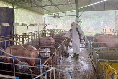 Dịch bệnh động vật diễn biến phức tạp do xuất hiện các chủng virus mới