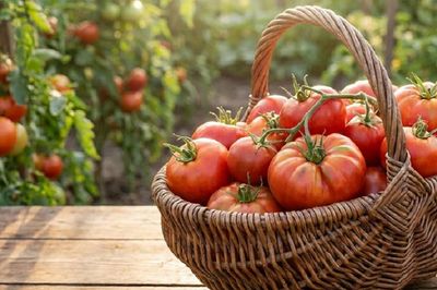 Ăn cà chua mỗi ngày suốt 1 năm, cô giáo 50 tuổi nhận kết quả bất ngờ