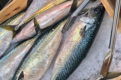 Mua cá thu, nhìn ngay 6 dấu hiệu để tránh cá ươn, cấp đông lâu ngày