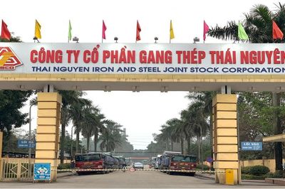Áp lực chi phí khiến Gang thép Thái Nguyên báo lãi quý II/2026 giảm 43%