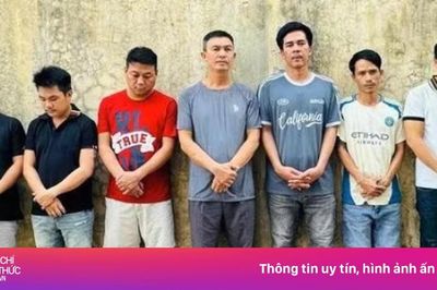 Triệt phá đường dây cá độ World Cup giao dịch hơn 200 tỷ đồng, bắt 'ông trùm' cùng đồng phạm