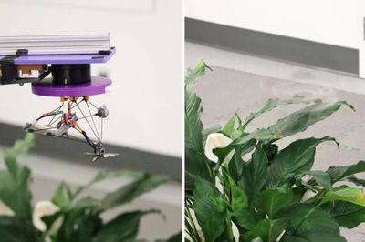 Nhóm nghiên cứu Mỹ thiết kế drone có khả năng xoay tròn để đạt được trạng thái gần như vô hình