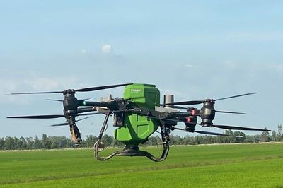 Ứng dụng công nghệ giúp giảm 30% lượng phân bón trong sản xuất lúa