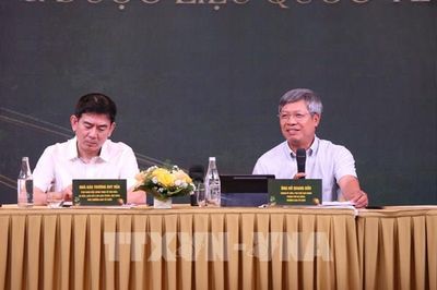 Đà Nẵng lần đầu tổ chức lễ hội sâm Ngọc Linh và dược liệu quốc tế