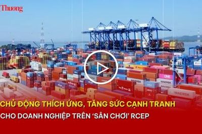 Chủ động thích ứng, tăng sức cạnh tranh cho doanh nghiệp trên 'sân chơi' RCEP